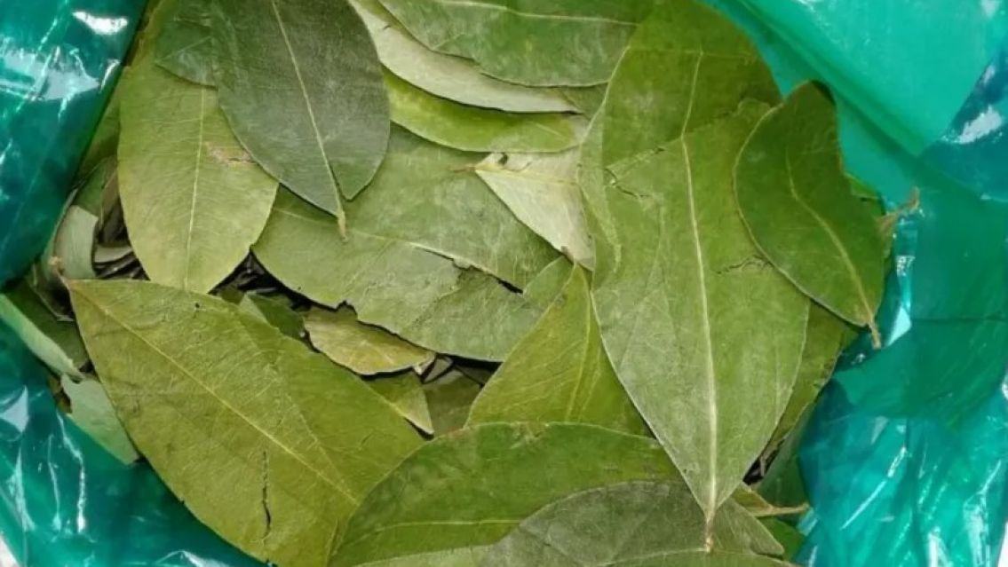 Hoja de coca: aument� un 50% el precio en Jujuy