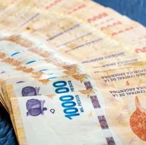 El bono de $14.000 que prepara Anses este mes: cómo saber si lo cobro