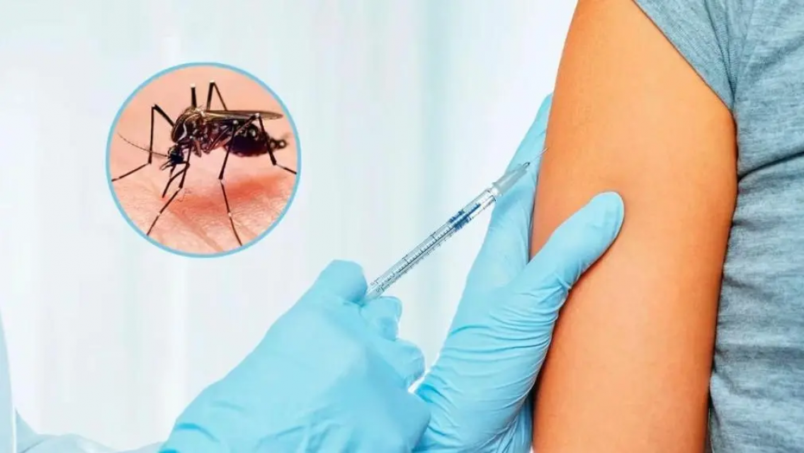 Precio y cu�ndo: todo sobre la vacuna contra el Dengue