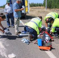 Atropelló a dos jujeños en la ruta nacional 9 y se fugó: Fueron internados de urgencia