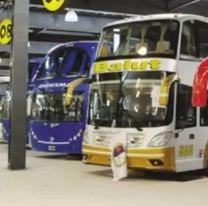 Elecciones en Jujuy: los colectivos de media distancia ser&aacute;n gratuitos