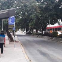 Paro de colectivos en Jujuy: Desde el celu podes justificar tu inasistencia