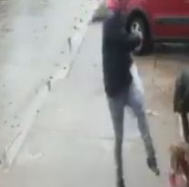 Una mujer termin&oacute; en grave estado tras ser atacada por dos pitbull