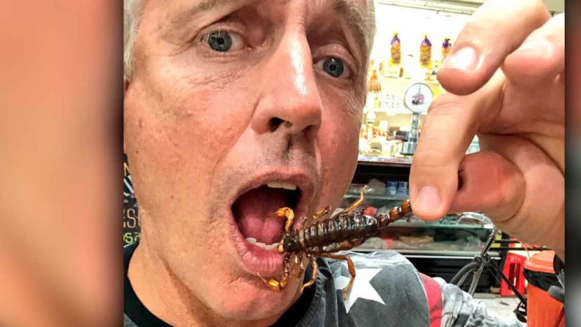 A lo Marley: quieren que en Argentina se autorice el consumo de insectos