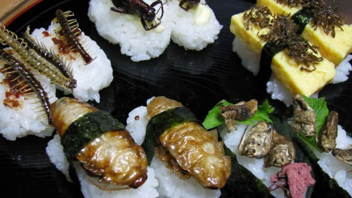 Buscan que se apruebe el consumo de insectos en Argentina