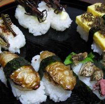 Buscan que se apruebe el consumo de insectos en Argentina