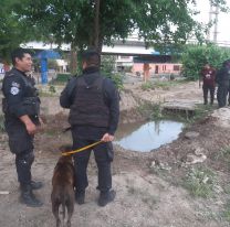 Desesperación en Palpalá: Una perra hizo asustar a todos