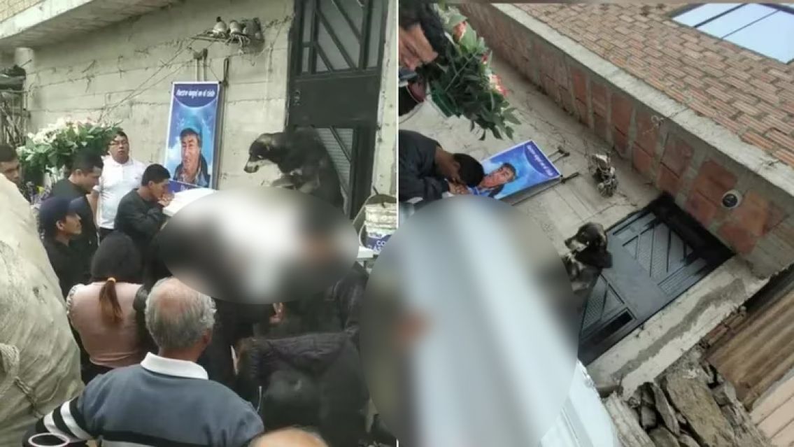 La reacción de un perrito tras la partida de su dueño: "no se despegaba del cajón"