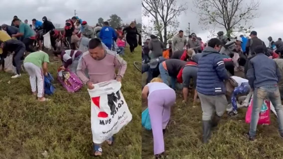 Volcó un camión lleno de papas y lo saquearon en minutos: así lo dejaron