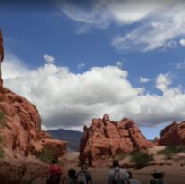 Un turista francés le dio a una piña a una mujer en medio de una excursión