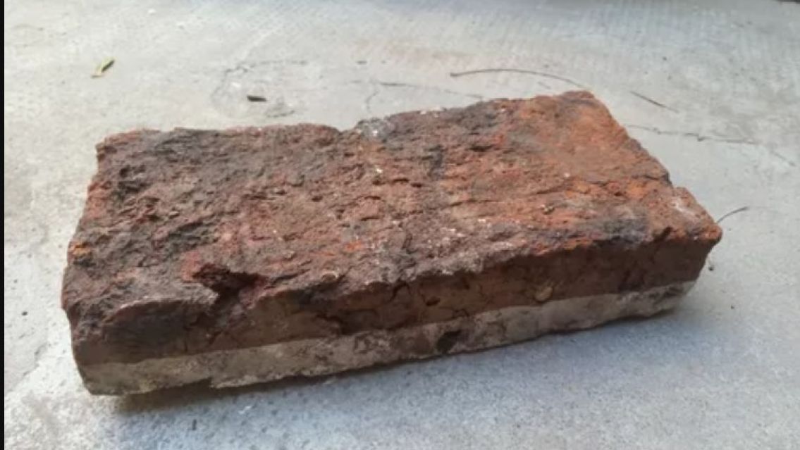 "Te metiste con mi macho": le parti� un ladrillo en la cabeza a otra