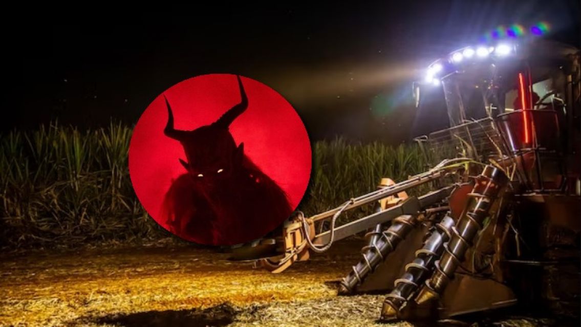 Afirman que apareci� un "chivo gigante" en los ca�averales