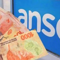 ANSES sac&oacute; una l&iacute;nea de cr&eacute;ditos de $1 mill&oacute;n con el inter&eacute;s m&aacute;s bajo de la historia