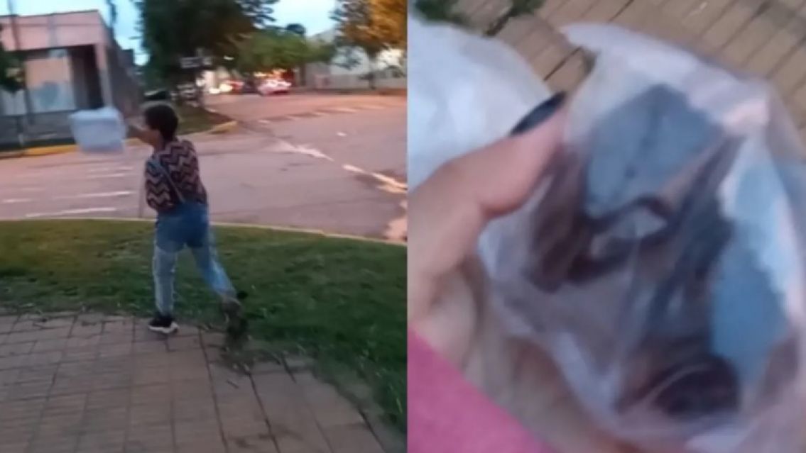 Un nene fue a pedir dulces a una carnicería por Halloween, pero como no tenían le hicieron un regalo insólito