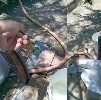 Jujeños padecen un tarifazo de Agua Potable y llevan 10 días sin servicio
