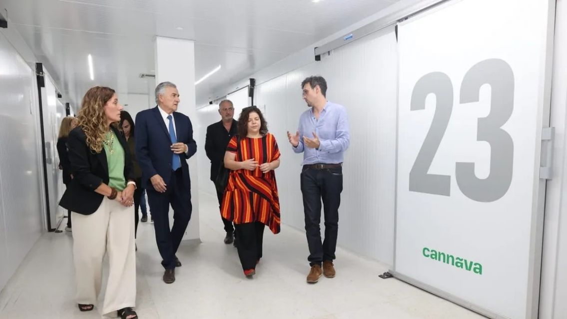 El aceite de cannabis de Jujuy fue autorizado a venderse en todo el país