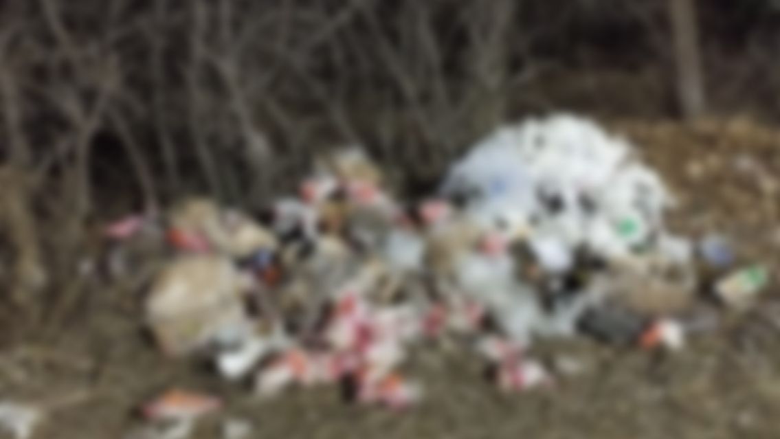 Palpaleños sentían un olor asqueroso y al ver lo que era casi vomitan