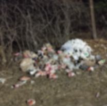 Palpale&ntilde;os sent&iacute;an un olor asqueroso y al ver lo que era casi vomitan