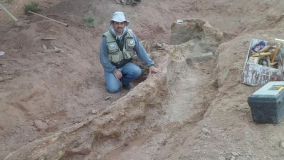 En la Patagonia encontraron restos de un dinosaurio: "est� casi completo"