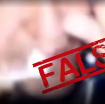 "Es montaje": Chequeado confirm&oacute; que el supuesto video de Massa es falso