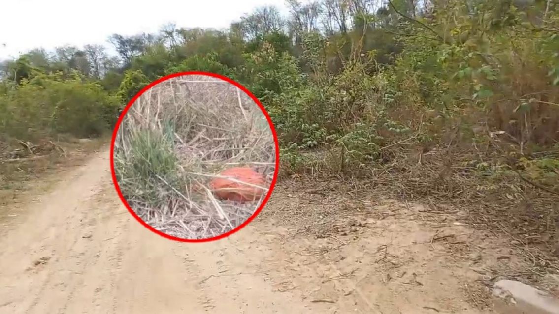 [URGENTE] Encontraron restos humanos dentro de una bolsa