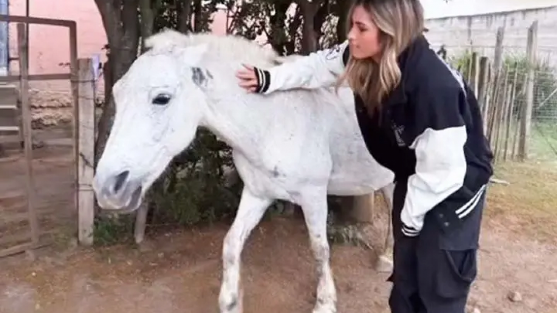 Julieta Poggio visit� el norte y fue pateada por un caballo. �Qu� mala suerte!