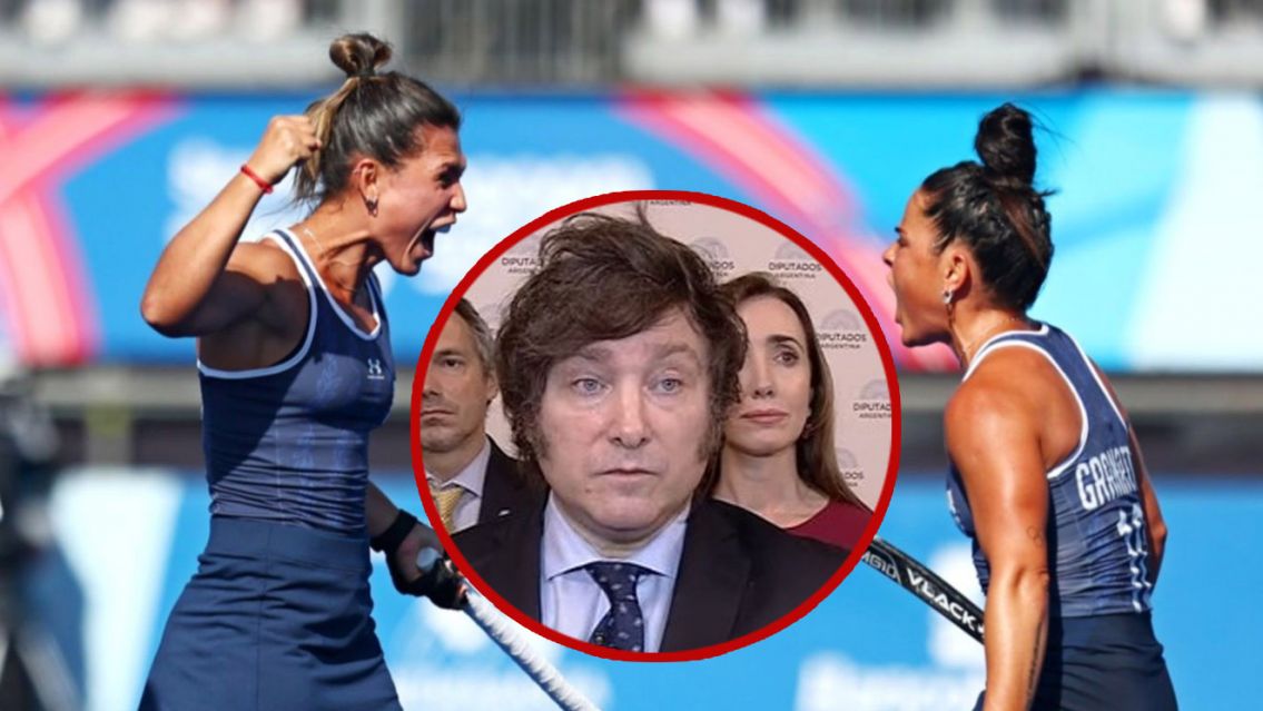 Las leonas le dicen "NO" al gatito mimoso: "Por favor, no votemos a Milei"