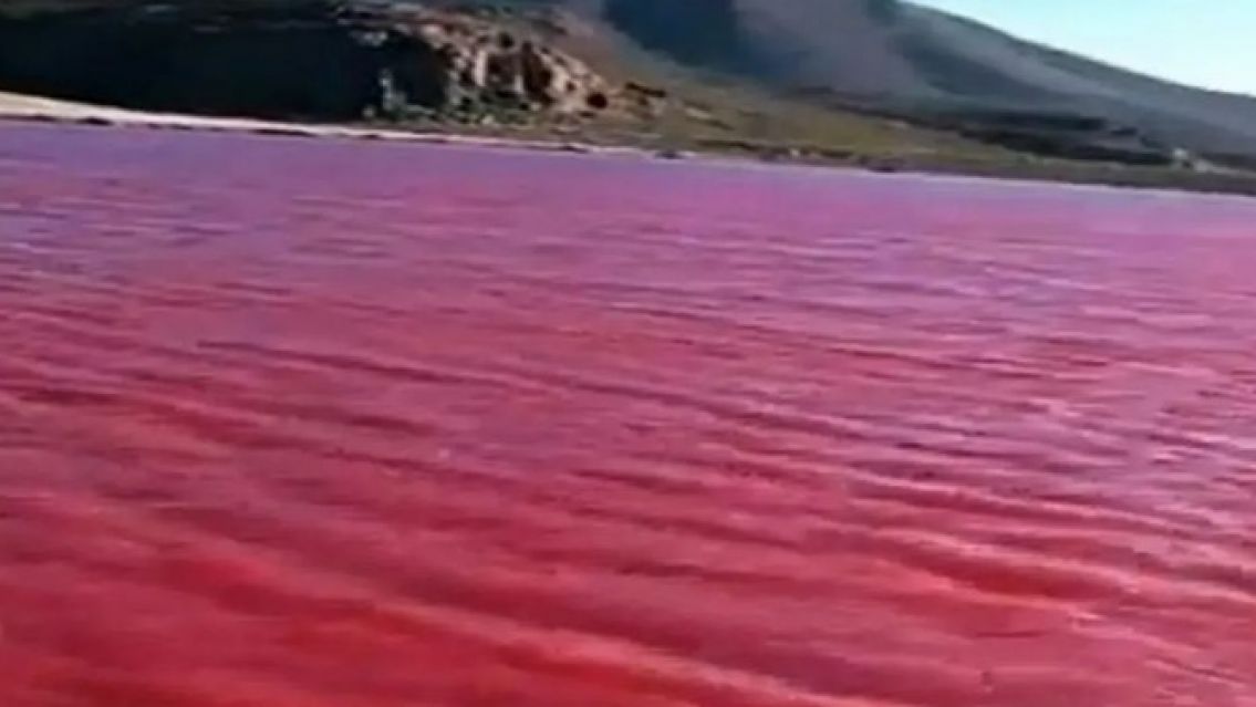 Como en los relatos b�blicos, el r�o Nilo se ti�� completamente de rojo y desat� el misterio en Egipto