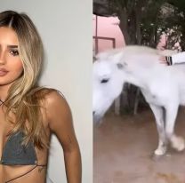 El mal momento que vivi&oacute; Julieta Poggio: acarici&oacute; a un caballo y fue atacada