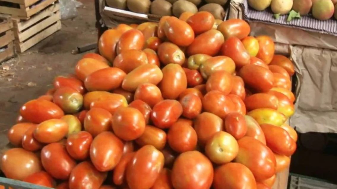 El tomate en Jujuy est� incomprable: aument� un 100%
