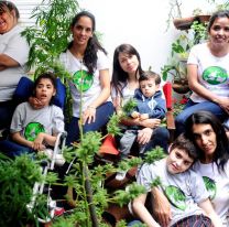 "Sin Ministerio no hay REPROCAN": ONG de cannabis medicinal dijo NO a Milei