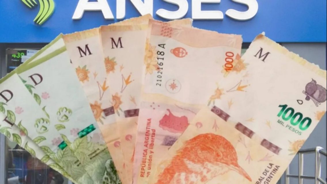 El 'Extra' de $35.000 que paga ANSES hasta fin de a�o: c�mo anotarse