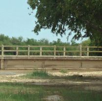 Un joven de 15 a&ntilde;os tom&oacute; la peor decisi&oacute;n: lo encontraron abajo de un &aacute;rbol 