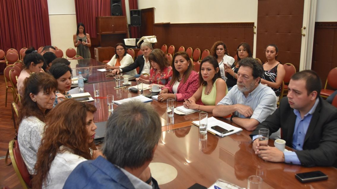 Jujuy avanza en una ley de cuidado integral del embarazo y primera infancia