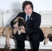 El amor de Milei por sus perros: El d&iacute;a que dej&oacute; de comer para poder alimentarlos