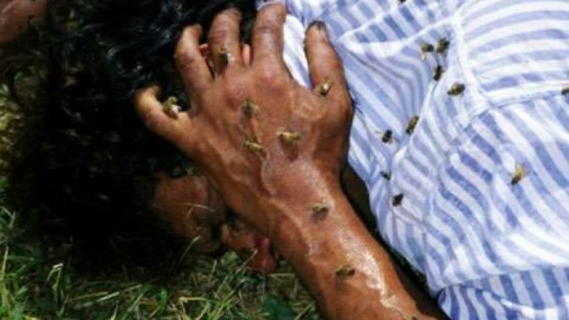 Dos juje�os fueron brutalmente atacados por un enjambre de abejas: Terminaron internados