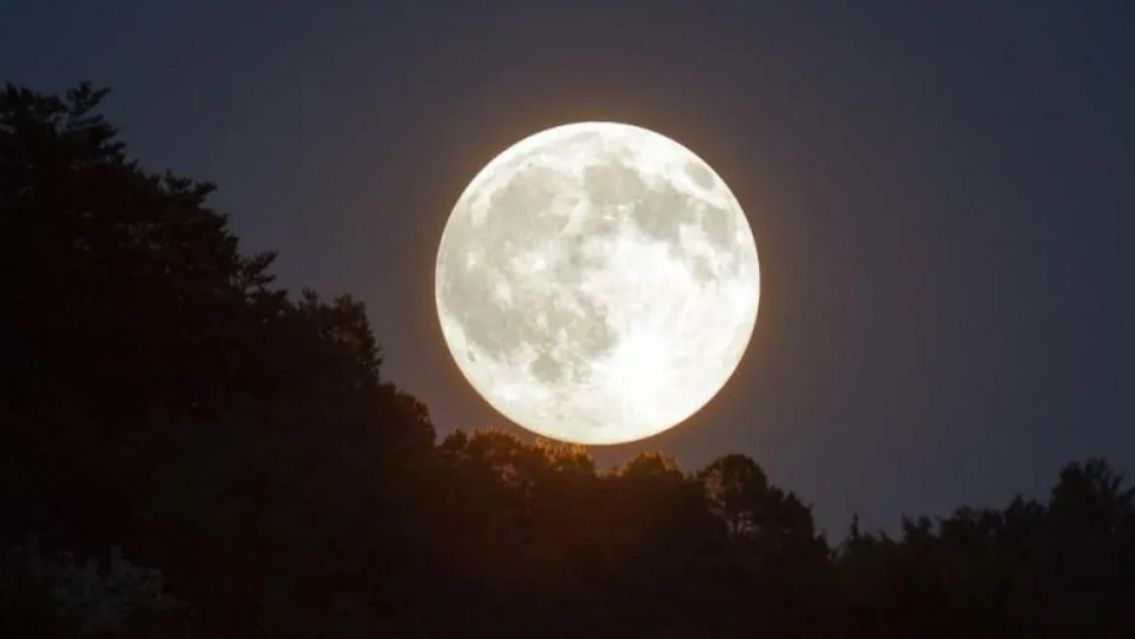 Luna del Castor: cu�ndo es y c�mo afectar� a cada signo del Zod�aco