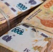 Crédito de $1.000.000 de Anses: qué pasará cuando asuma Javier Milei