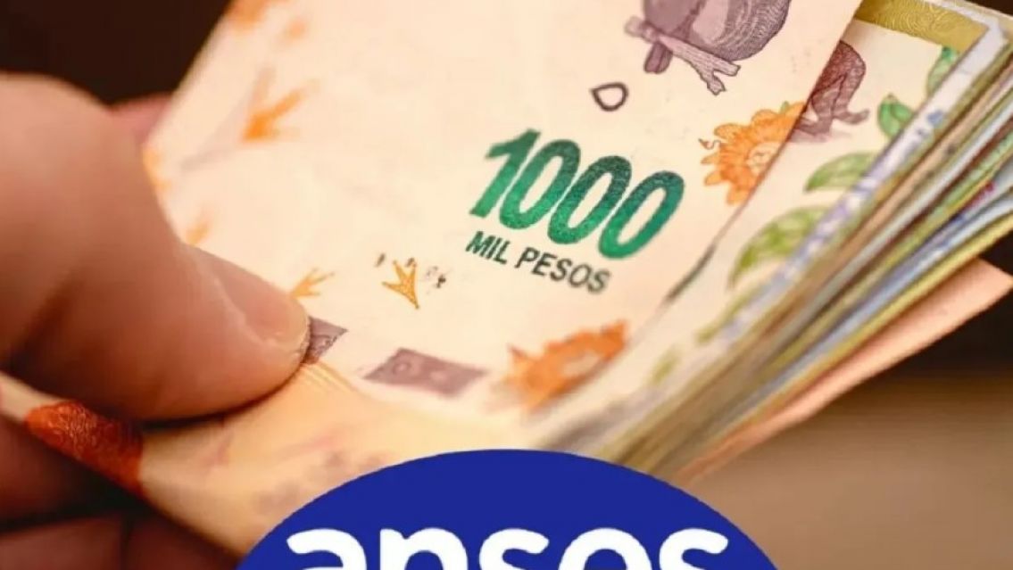 Bono de 55 mil pesos de despedida: qui�nes acceden al beneficio