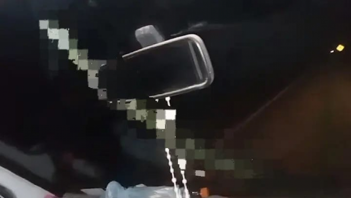 Extraña criatura larga se prendió del parabrisas y no sabía qué hacer. HAY VIDEO