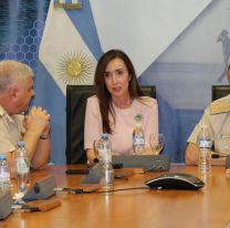 El importante rol de los juje&ntilde;os en el Senado de La Libertad Avanza