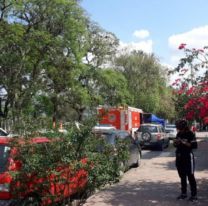 Murió un jujeño en pleno centro: Gran conmoción