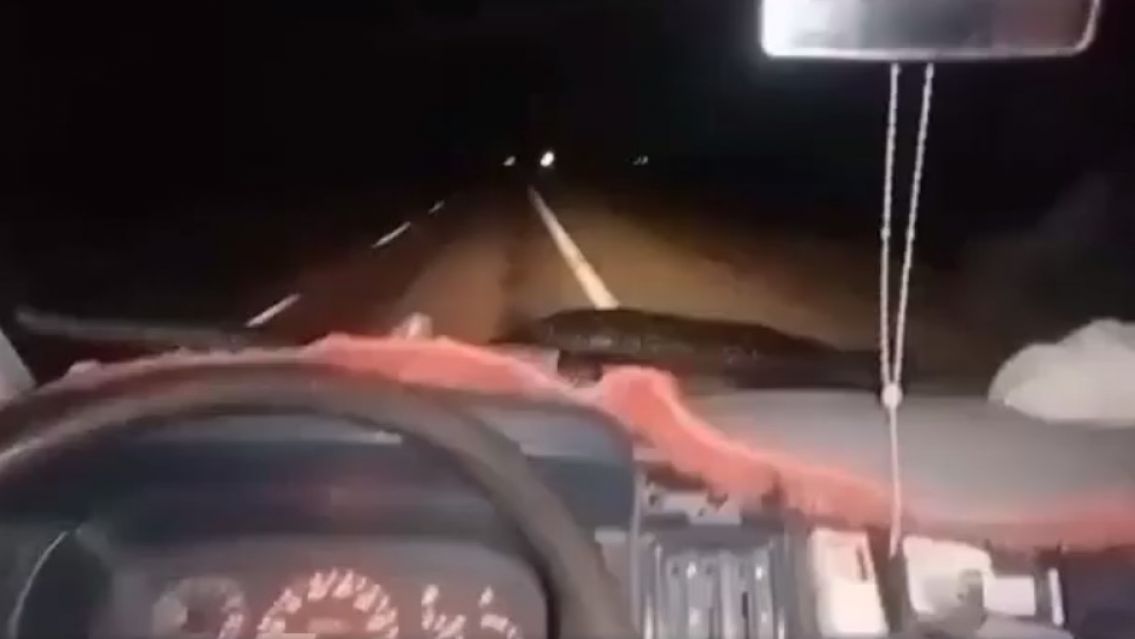 Manejaban de noche por la ruta y les apareció algo tenebroso: "Qué terror, me muero"