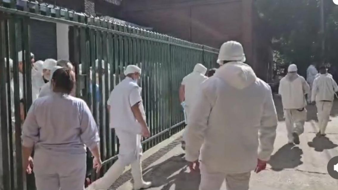 Evacuaron conocido frigor�fico: 14 ambulancias y varios intoxicados graves