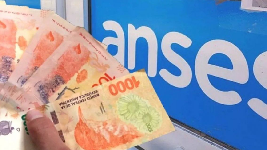 Cómo presentar la libreta de la AUH para que te paguen el plus de fin de año