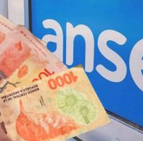 Cómo presentar la libreta de la AUH para que te paguen el plus de fin de año