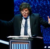 Contrario a lo que dice Milei, Jujuy estuvo en la Comisión de Cambio Climático