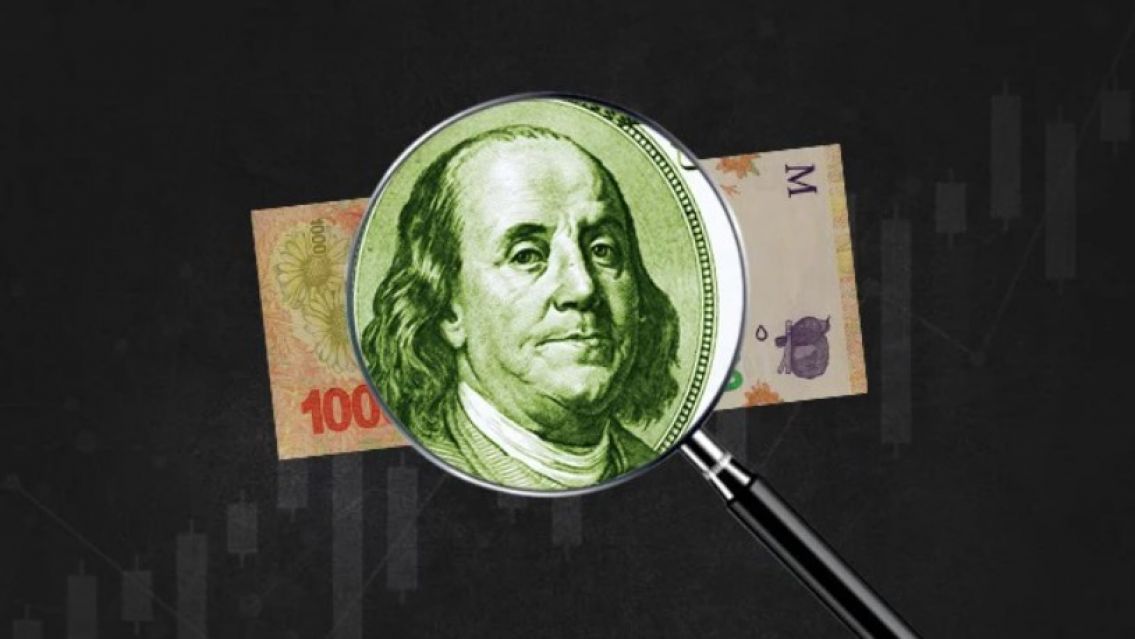 Ni d�lar ni plazo fijo: La inversi�n m�s ganadora del a�o fue otra