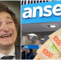 Después de la asunción de Milei, ANSES dará un bono de $146.000