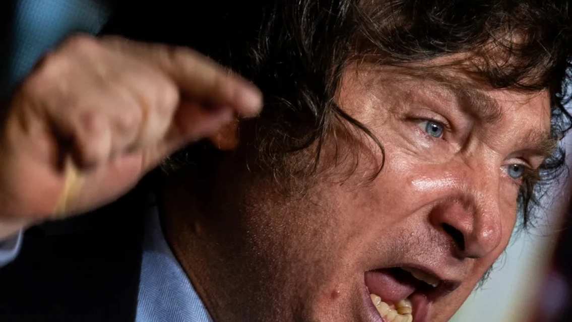 El plan maestro de Javier Milei para terminar con "los �oquis" en pol�tica